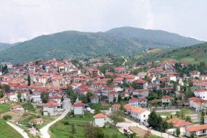 Λιβαδερό Σερβίων