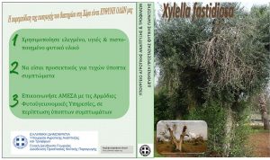 Ενημέρωση για τον Οργανισμό καραντίνας Xyllela fastidiosa - Φυλλάδιο