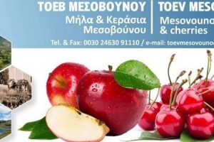 ΤΟΕΒ Μεσοβούνου