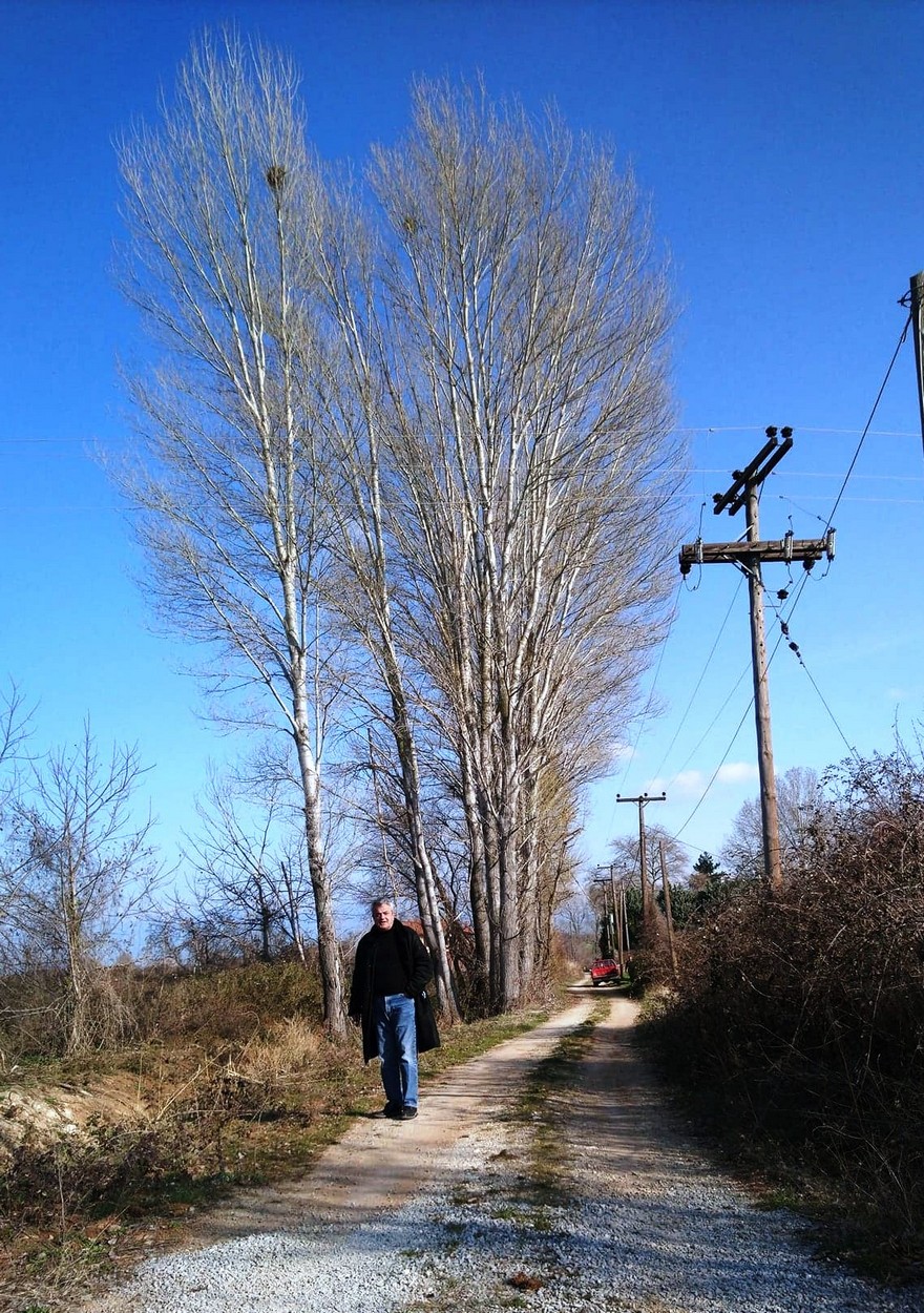 Τσιούμαρης Γρηγόρης: Καθαρισμός υδατορέματος από μεγάλα δέντρα λεύκης στην Τ.Κ. Πρωτοχωρίου