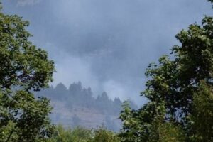 Ενημέρωση για τις Πυρκαγιές στην ΠΕ Κοζάνης 1