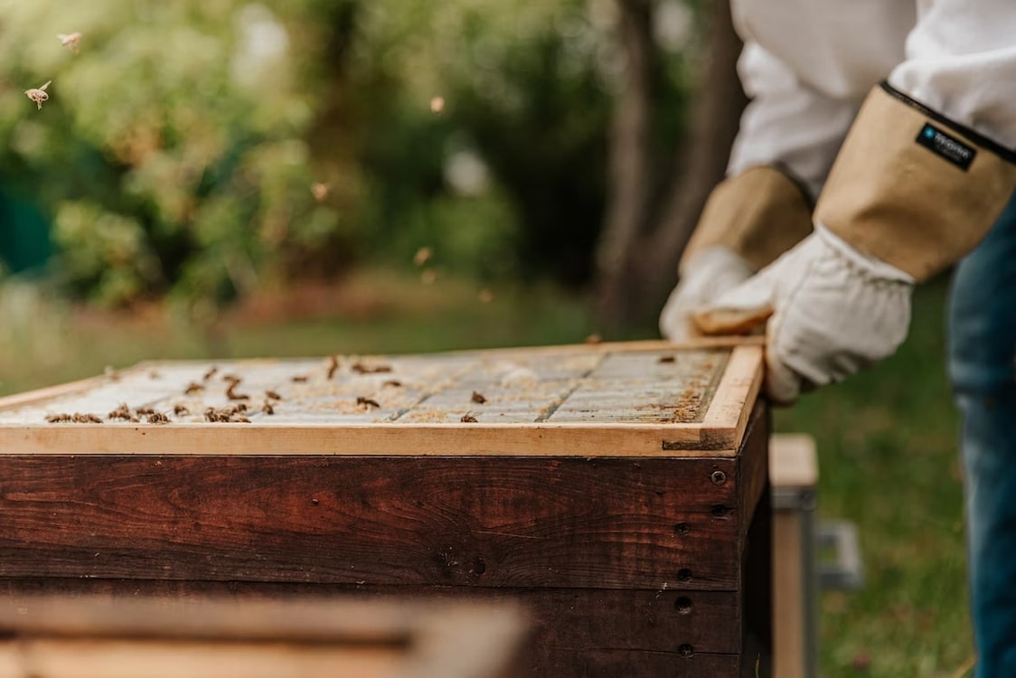 Επιδοτούμενες δράσεις του τομέα της μελισσοκομίας για το έτος 2023