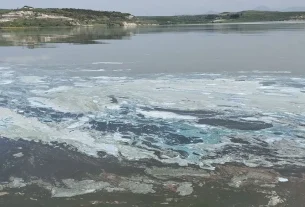 Αυτοψία στη λίμνη Πολυφύτου - Συλλογή δειγμάτων και έρευνα για τον επιφανειακό αφρισμό