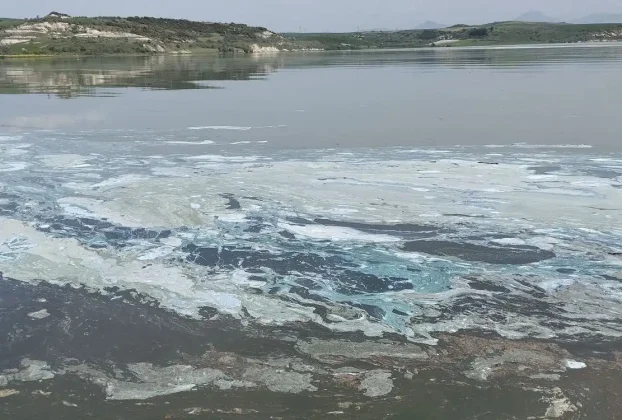 Αυτοψία στη λίμνη Πολυφύτου - Συλλογή δειγμάτων και έρευνα για τον επιφανειακό αφρισμό