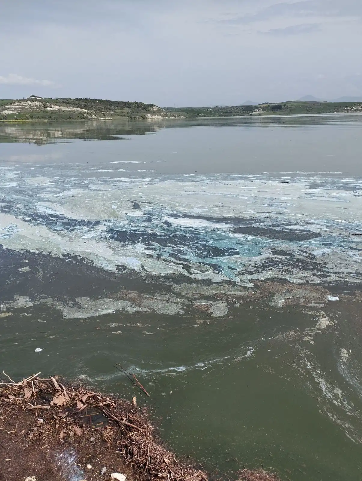 Αυτοψία στη λίμνη Πολυφύτου -  Συλλογή δειγμάτων και έρευνα για τον επιφανειακό αφρισμό