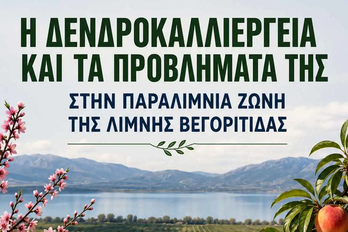Ημερίδα για τη δεντροκαλλιέργεια στην περιοχή Βεγορίτιδας - Η δενδροκαλλιέργεια και τα προβλήματά της στην παραλίμνια ζώνη περιοχής Βεγορίτιδας (18-6-2026)