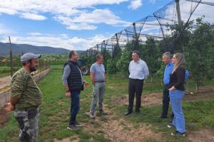 Οδικές προσβάσεις σε επιχειρήσεις πρωτογενούς τομέα Δήμου Εορδαίας Π.Ε. Κοζάνης -1-